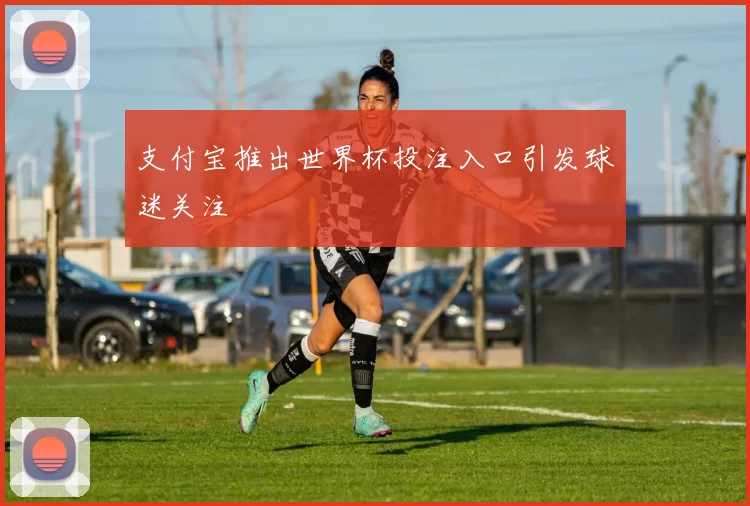 支付宝推出世界杯投注入口引发球迷关注