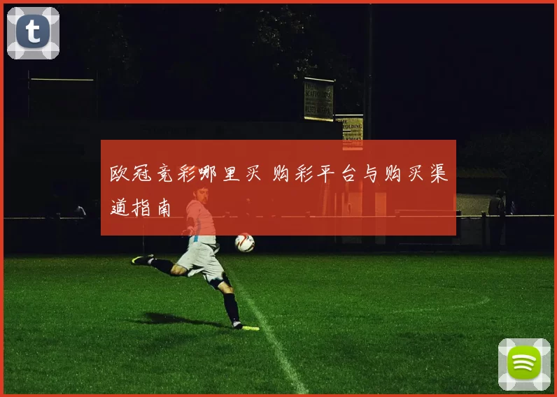 欧冠竞彩哪里买 购彩平台与购买渠道指南