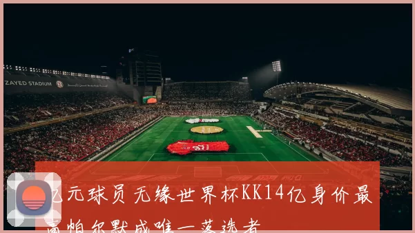 亿元球员无缘世界杯KK14亿身价最高帕尔默成唯一落选者