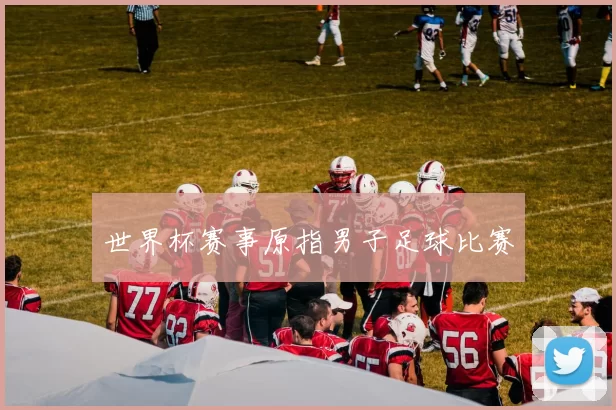 世界杯赛事原指男子足球比赛