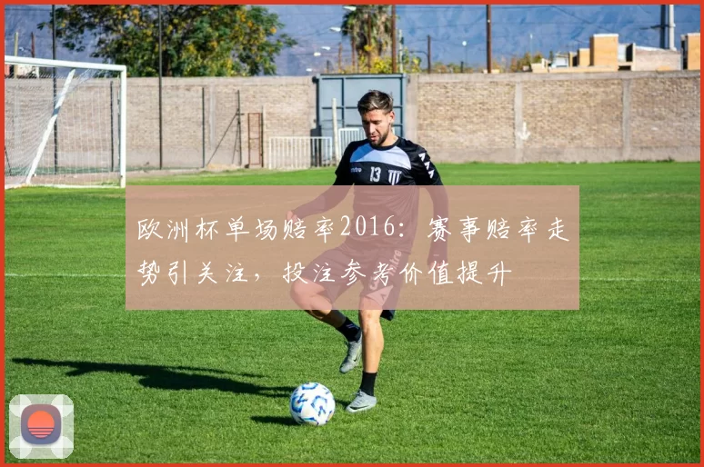 欧洲杯单场赔率2016:赛事赔率走势引关注,投注参考价值提升