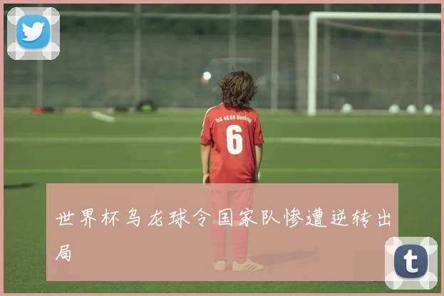 世界杯乌龙球令国家队惨遭逆转出局