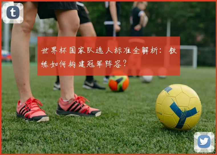 世界杯国家队选人标准全解析:教练如何构建冠军阵容?