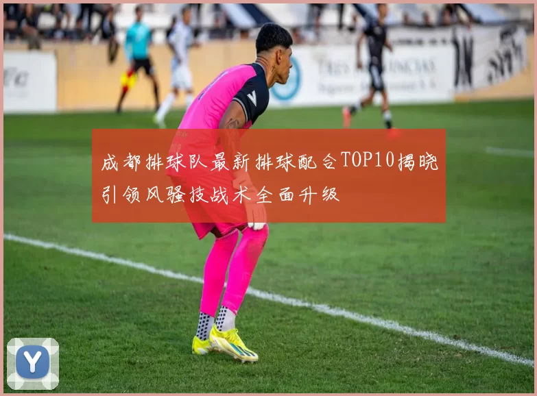 成都排球队最新排球配合TOP10揭晓引领风骚技战术全面升级