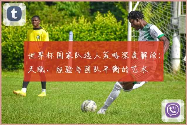 世界杯国家队选人策略深度解读:天赋、经验与团队平衡的艺术
